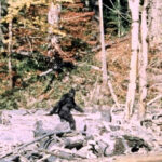 Bigfoot “Sightings” Surprise Trail Users on Leadville’s Mineral Belt