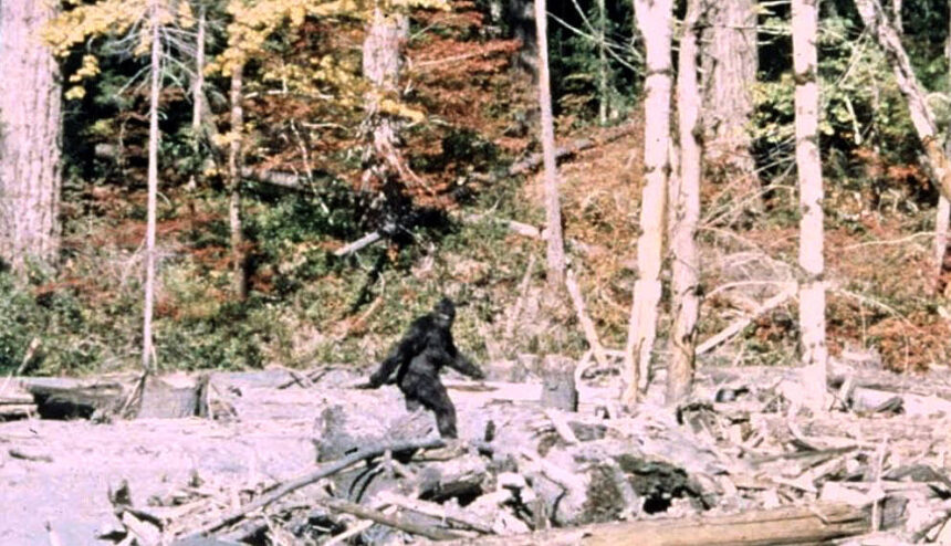 Bigfoot “Sightings” Surprise Trail Users on Leadville’s Mineral Belt