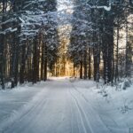 Stranded Snowmobilers Rescued After Overnight Backcountry Ordeal