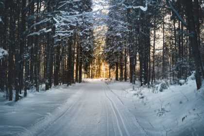 Stranded Snowmobilers Rescued After Overnight Backcountry Ordeal