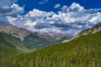 leadville-hero-recognized-for-service