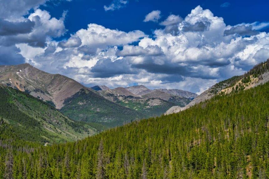 leadville-hero-recognized-for-service